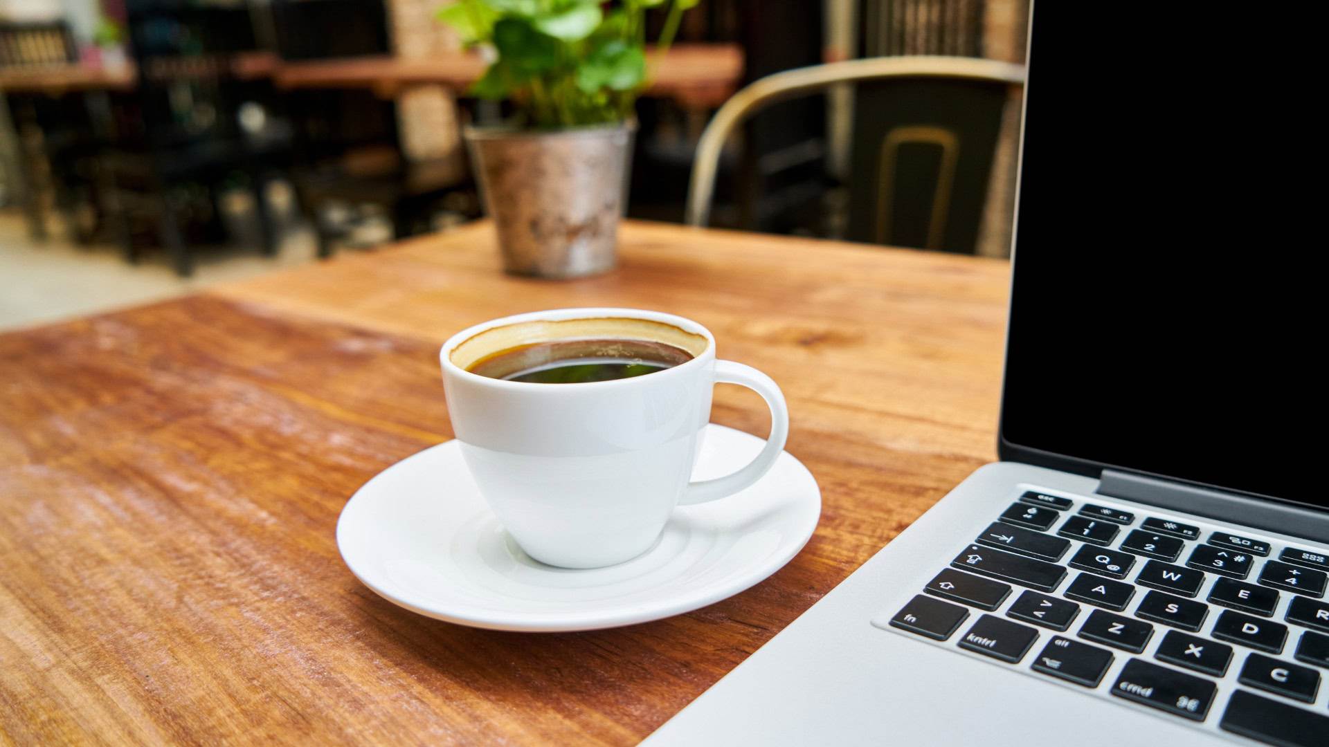 Cursuri cu Plata Lunară – 2 LECȚII / LUNĂ