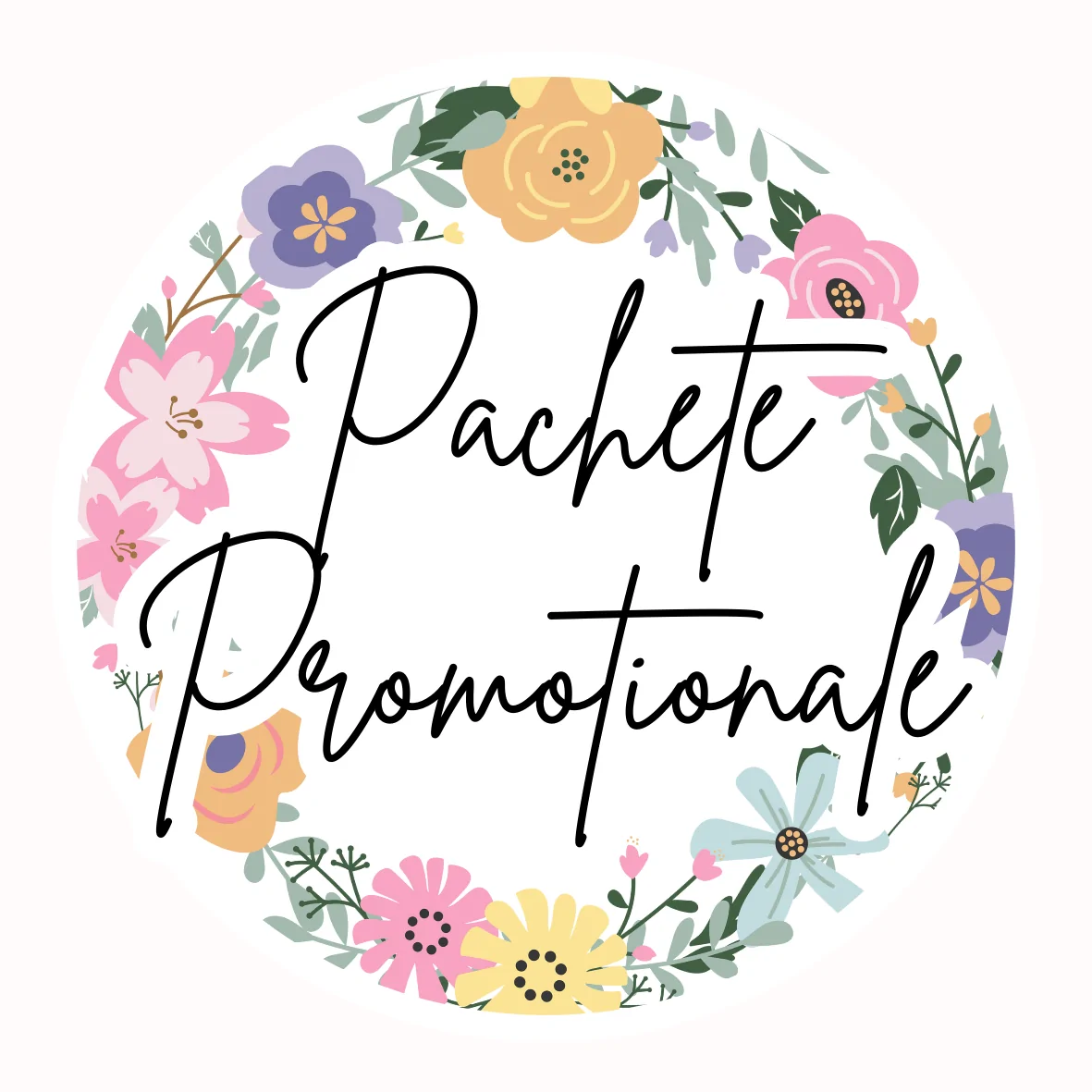 Pachete Promoționale