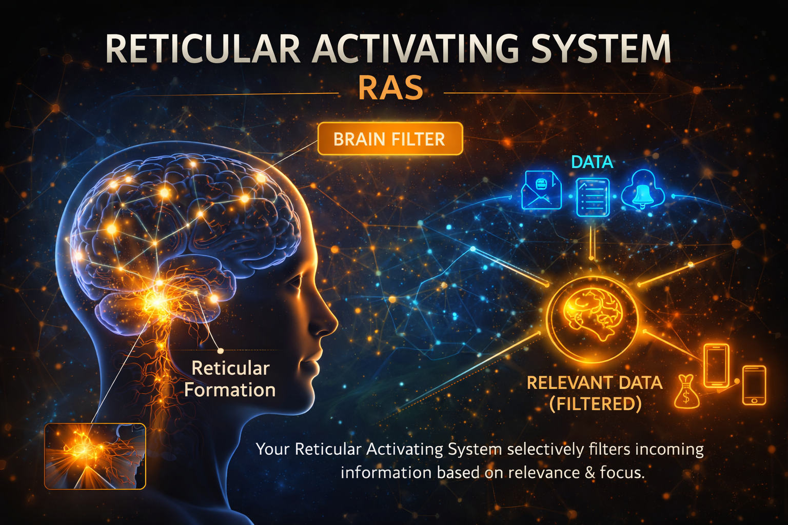 Reticular Activating System - Ras Protocol Reticular Activating System - Ras Protocol